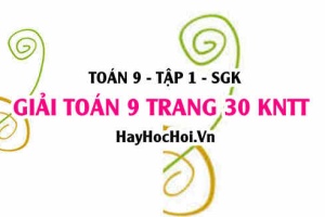 Giải Toán 9 trang 30 tập 1 Kết nối tri thức